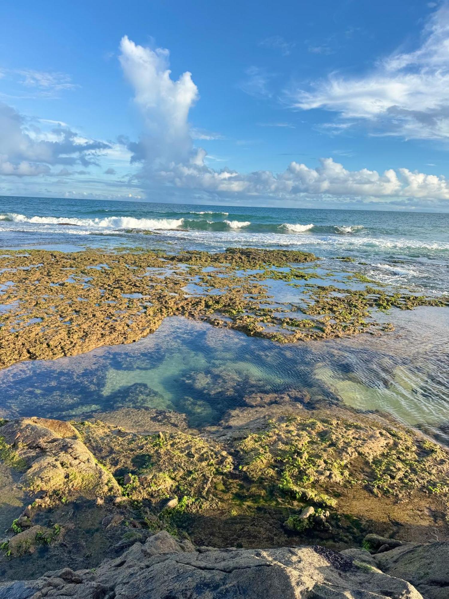 סלבאדור Samba Villa Da Praia מראה חיצוני תמונה